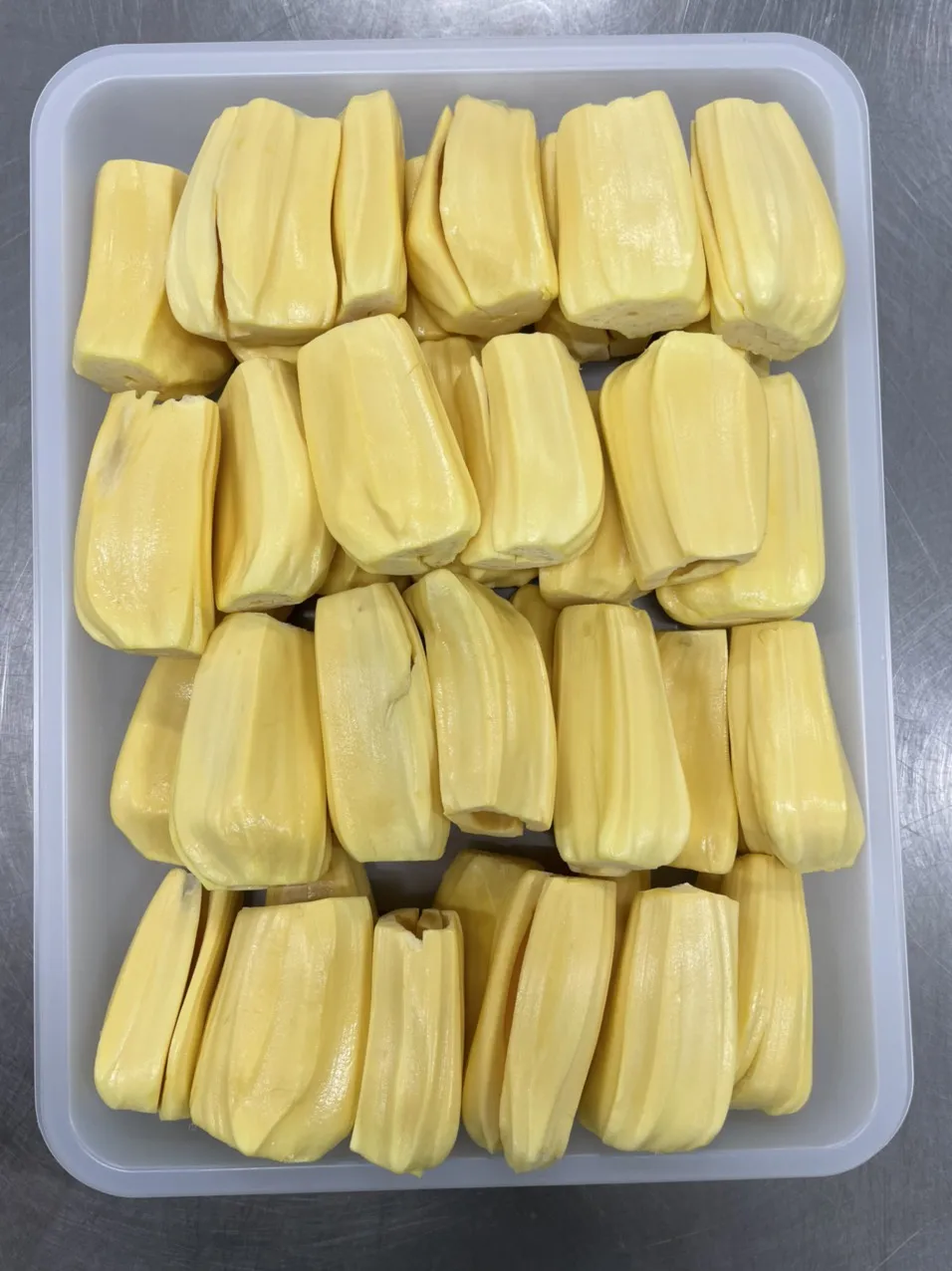 Vietnam jackfruit recent crop  for daily use Certified from Vietnam