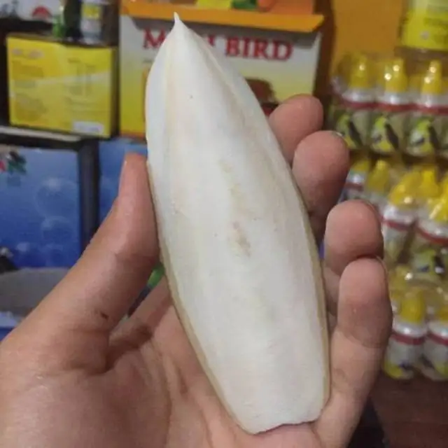 Хит продаж кости для шлепанцев травяные средства составной карбонат кальция из Вьетнама/Porter + 84896612931