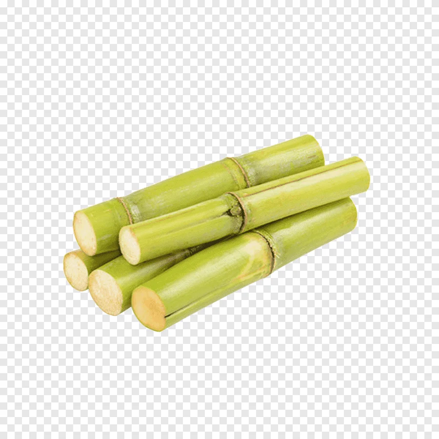 sc9.png