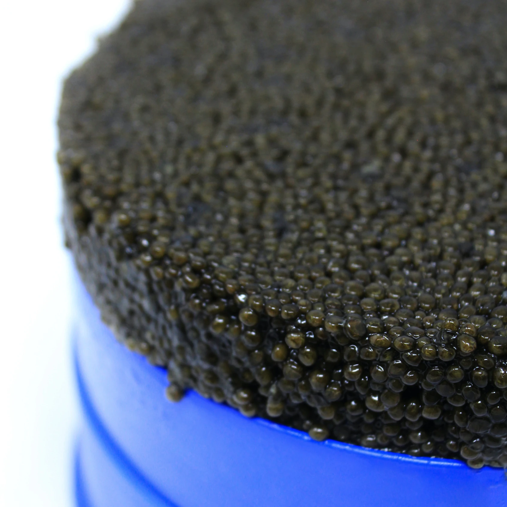 
Italian Sustainable Siberian Sturgeon Caviar Malossol 1800gr Tin 