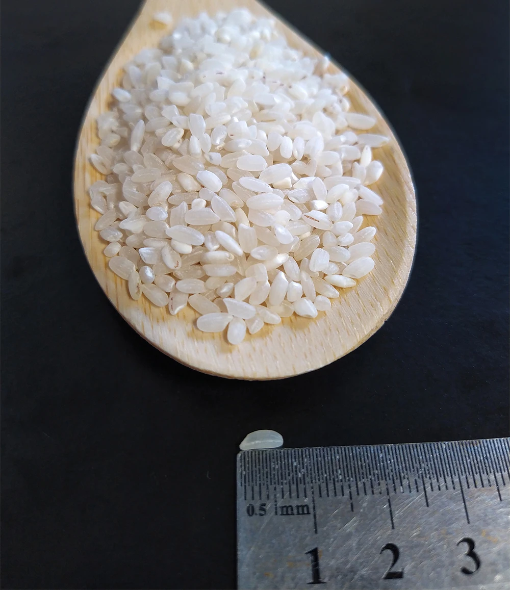 
Premium rice round grain, wholesale, white rice for sushi, cheapest price 