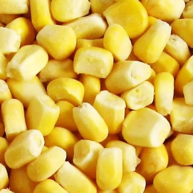 yellow corn ukraine yellow corn brazil High Quality Yellow Maize/Corn USA Japan