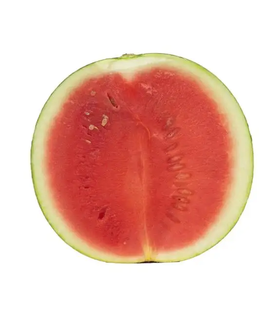 Fresh Water Melon Fast Shipping high Quality water melon from Turkey