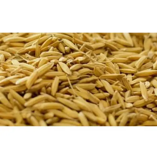 
Rice Bran 