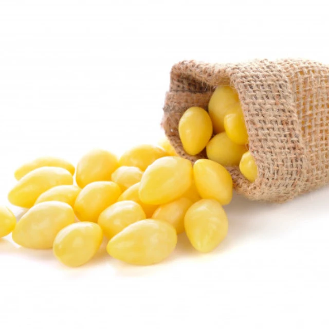 100% Fresh ginkgo nuts for sale