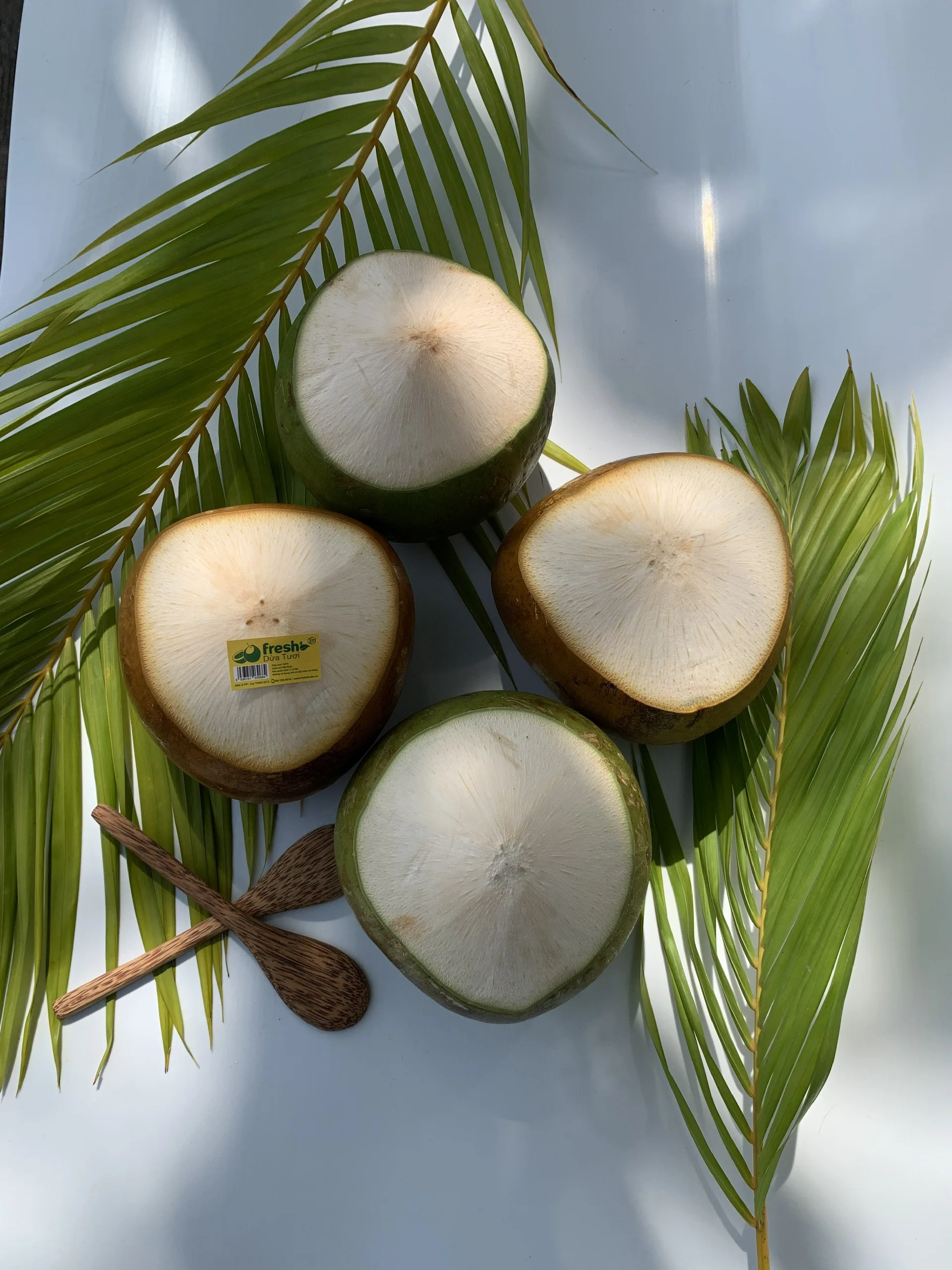 Semi-Husked Young Coconut Green or red Colours Hat Cut Shape Fresh Organic Coconut from Vietnam