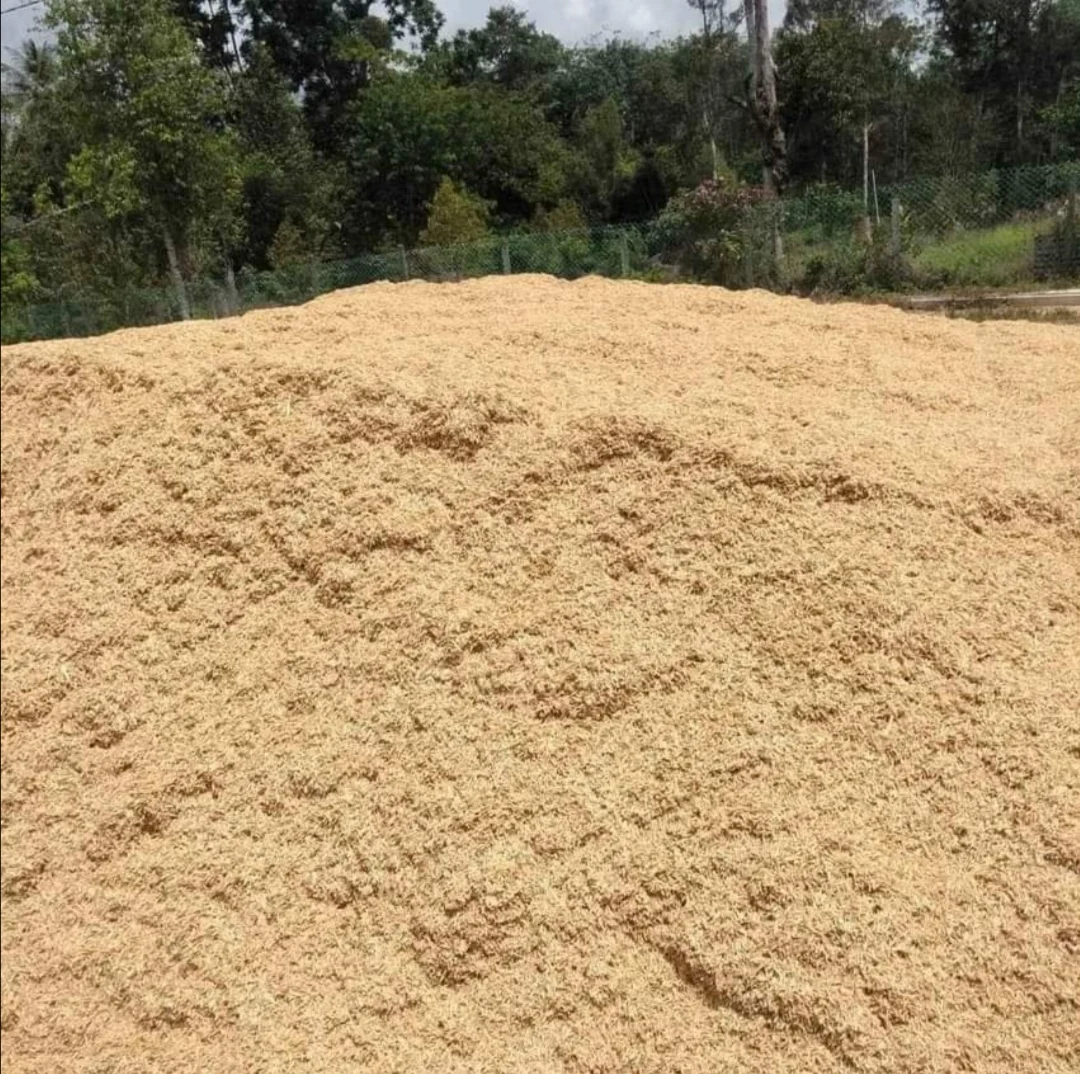 100% Yellow Raw Rice Husk With 5-10% Moisture Packing In Woven Bag