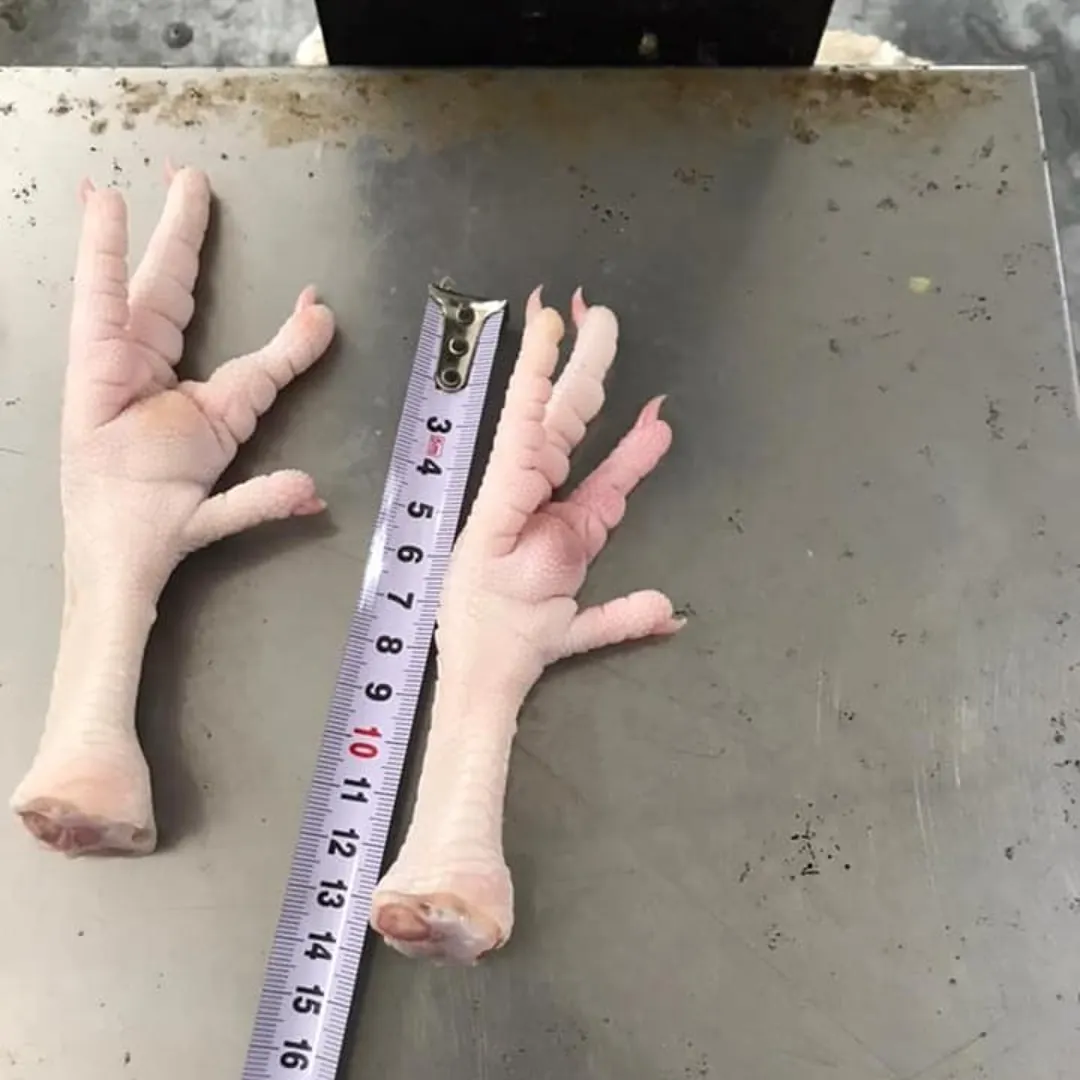 
Chicken feet chicken frozen chicken paw with the best price 2021 