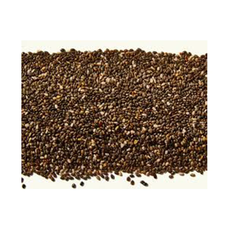 Оптовый Поставщик, продажа семян чиа премиального качества по лучшей конкурентоспособной цене