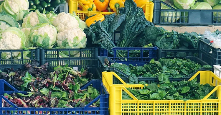 Высокое качество прямые продажи с завода большие пластиковые ящики для хранения крышкой Транспортная коробка из