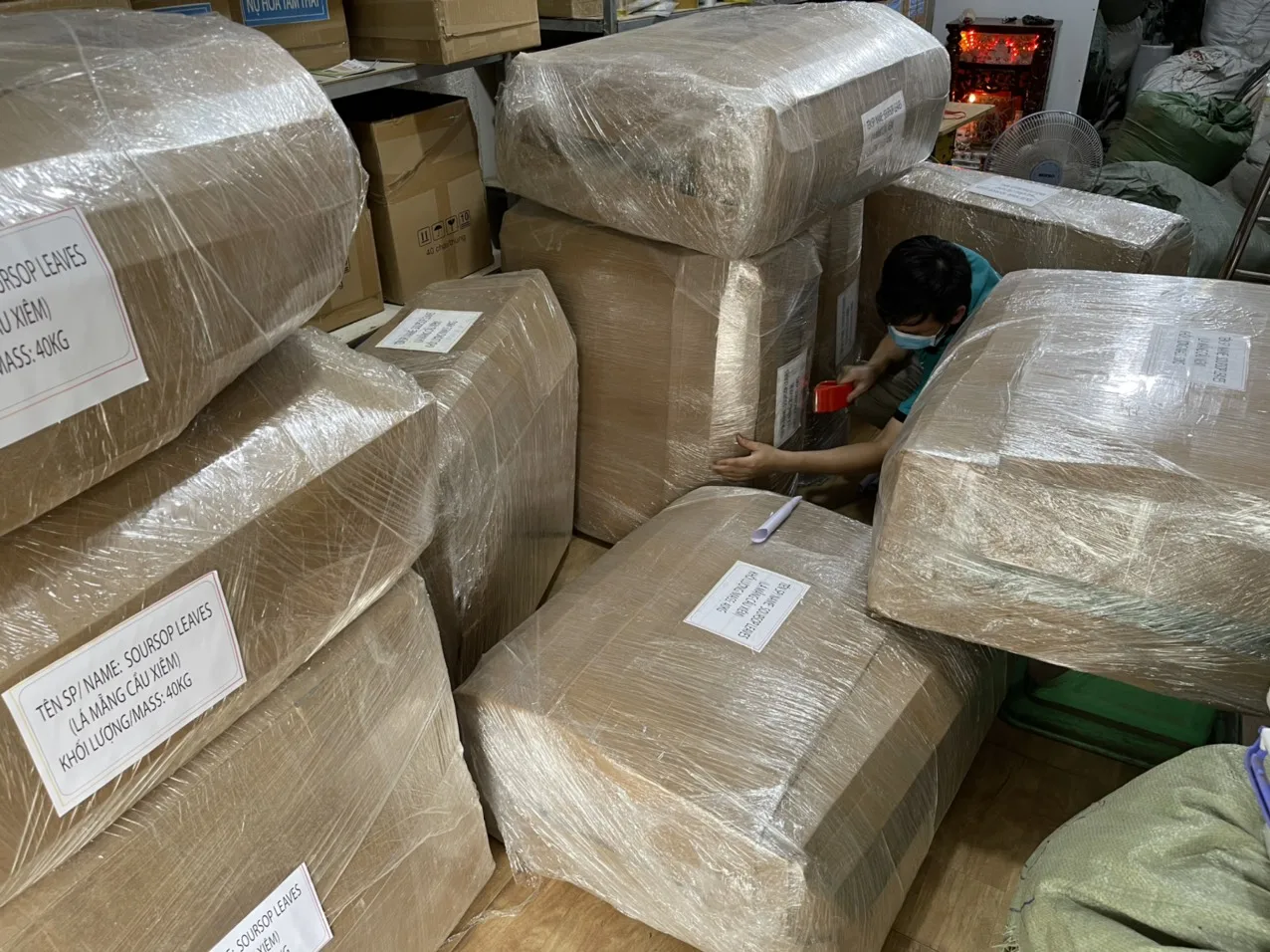 OEM Tea Bag Packing Dried Soursop Leaf/ Graviola Leaf Origin Vietnam Bulk Best Prices