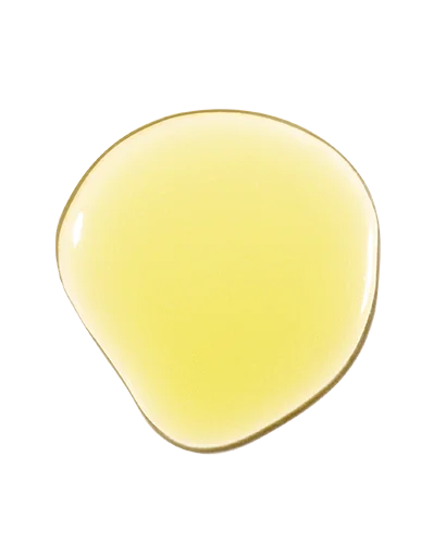 Organic High Quality Pongamia Glabra Oil - Bulk/ Karanja Oil