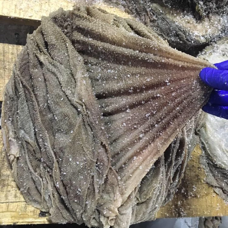 Сухая замороженная соленая говядина Omasum