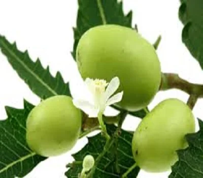 Высокочистый порошок для торта