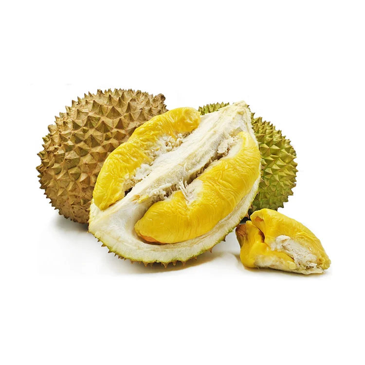 Best Durian In Malaysia Musang King Thick and Creamy Texture Fresh Sweet Bulk Sale For Supermarket Retail Store