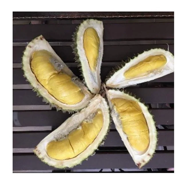 
Durian Pulp D24 Durian Frozen Durian Pulp 
