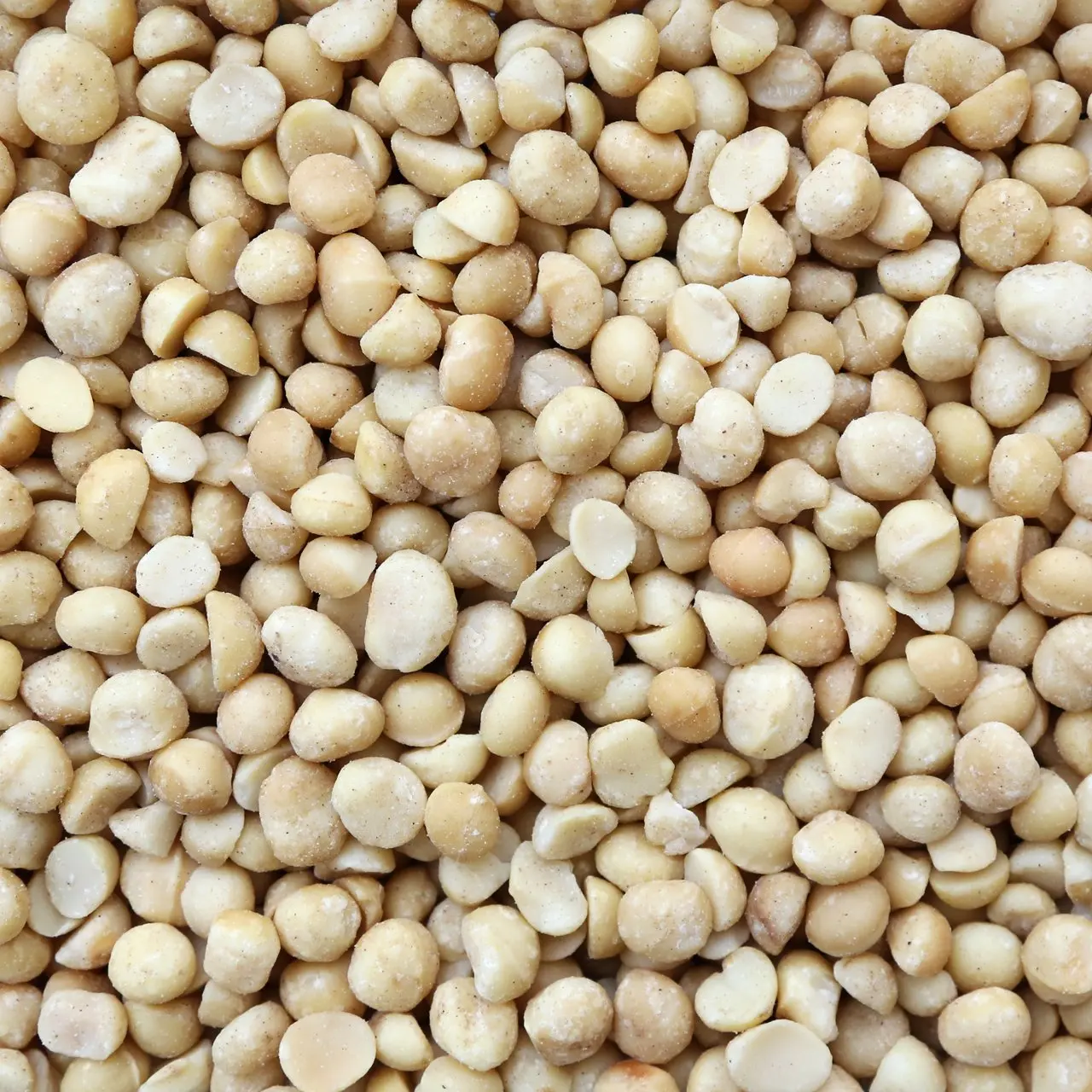 New Stock Organic Raw Macadamia Nuts