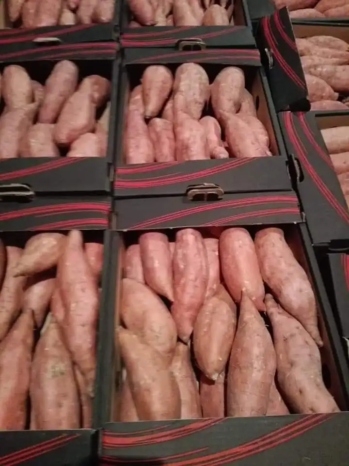 Новый урожай, египетский сладкий картофель