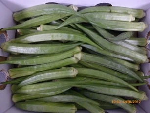  Замороженный Okra или замороженный женский