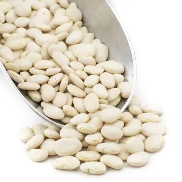 
Butter Beans/ White Cheaper price 