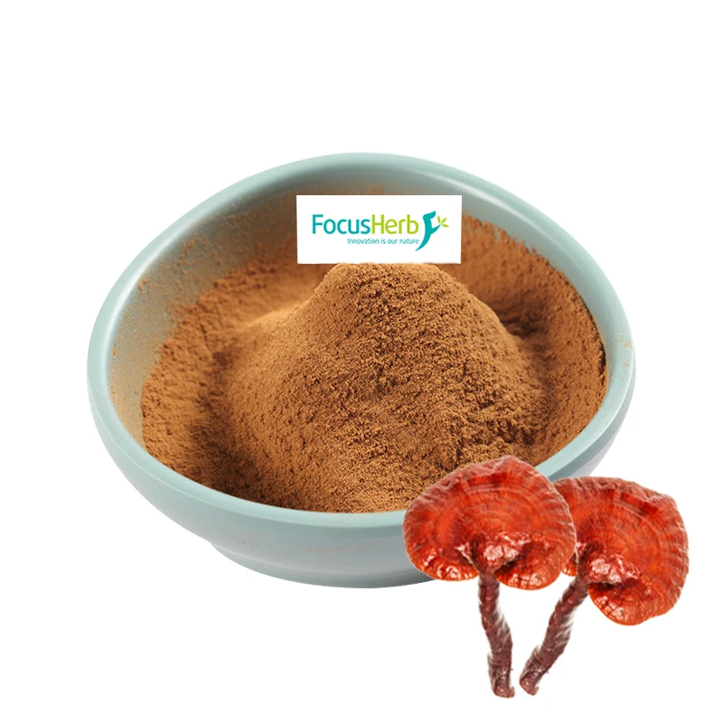 
FocusHerb pure ganoderma lucidum polysaccharide extract 