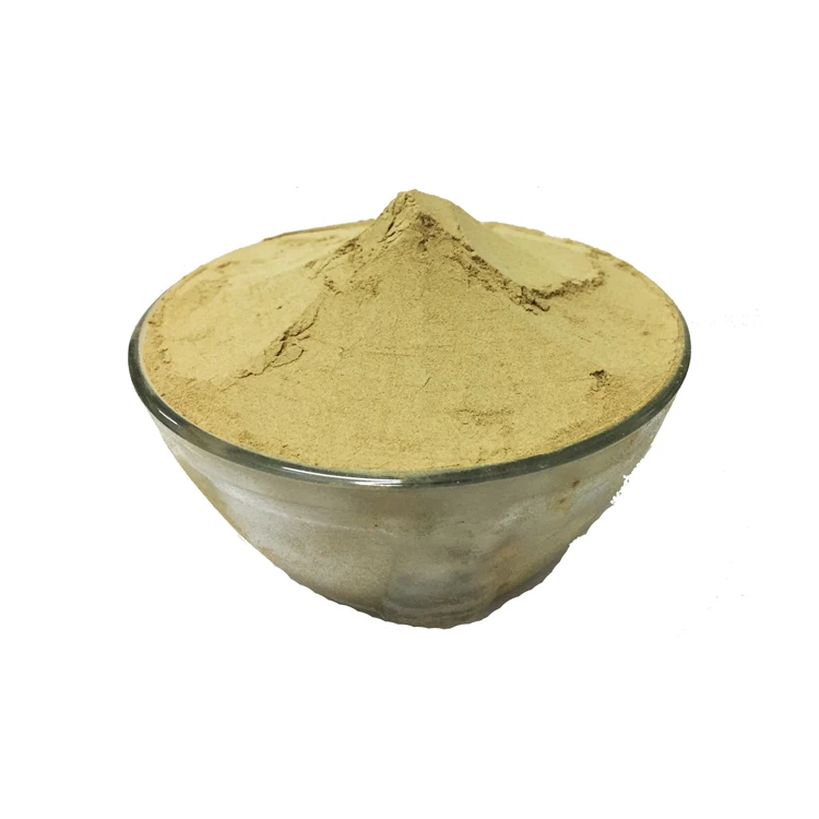 Good Quality Best Selling Widely Used 100% Pure and Natural Amla Powder from Trusted Manufacturer