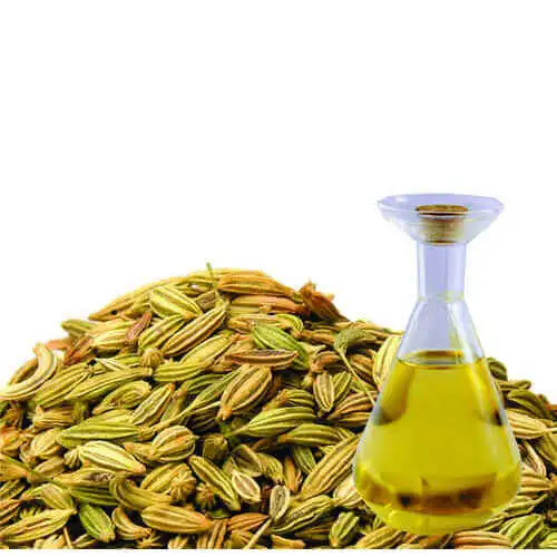 100% Pure Fennel Seed Oil Available for Bulk Export At Best Price From India
