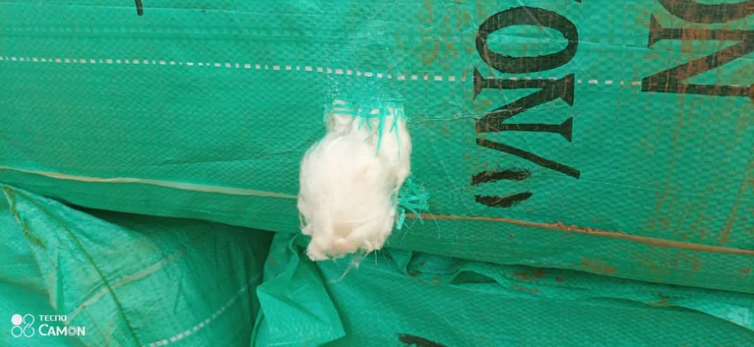 100% Raw Cotton Natural Color 12-1 origin from Cameroon