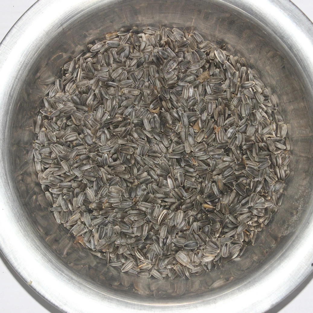 SUNFLOWER SEED BANGLADESH