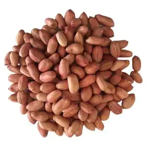 BEST QUALITY RED PEANUT FOR