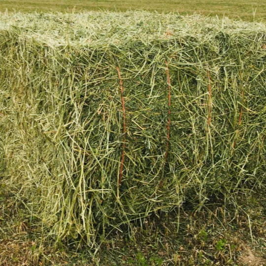 
Alfalfa Hay 