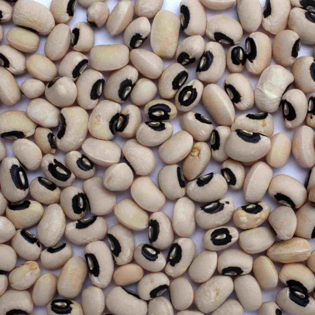 
Cowpea Cow peas machine cleaned polished red White Seeds Black Eye/wholesale Quality White Eyed Pea Organic High Grade Brand 
