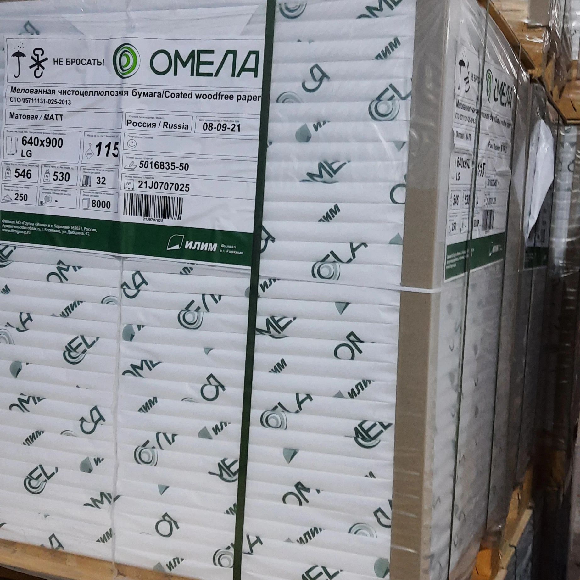 Coated wood free paper MATT