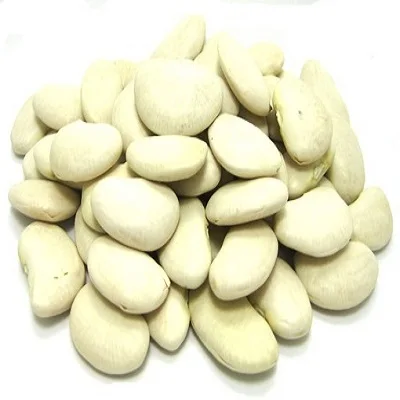 High Quality Broad Bean Fava Bean | Ethiopia Fava beans