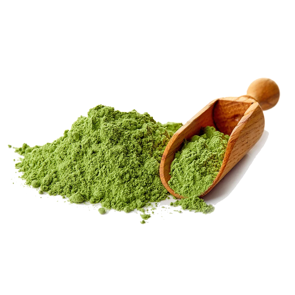 
Popular health food of ashitaba and green juice powder 