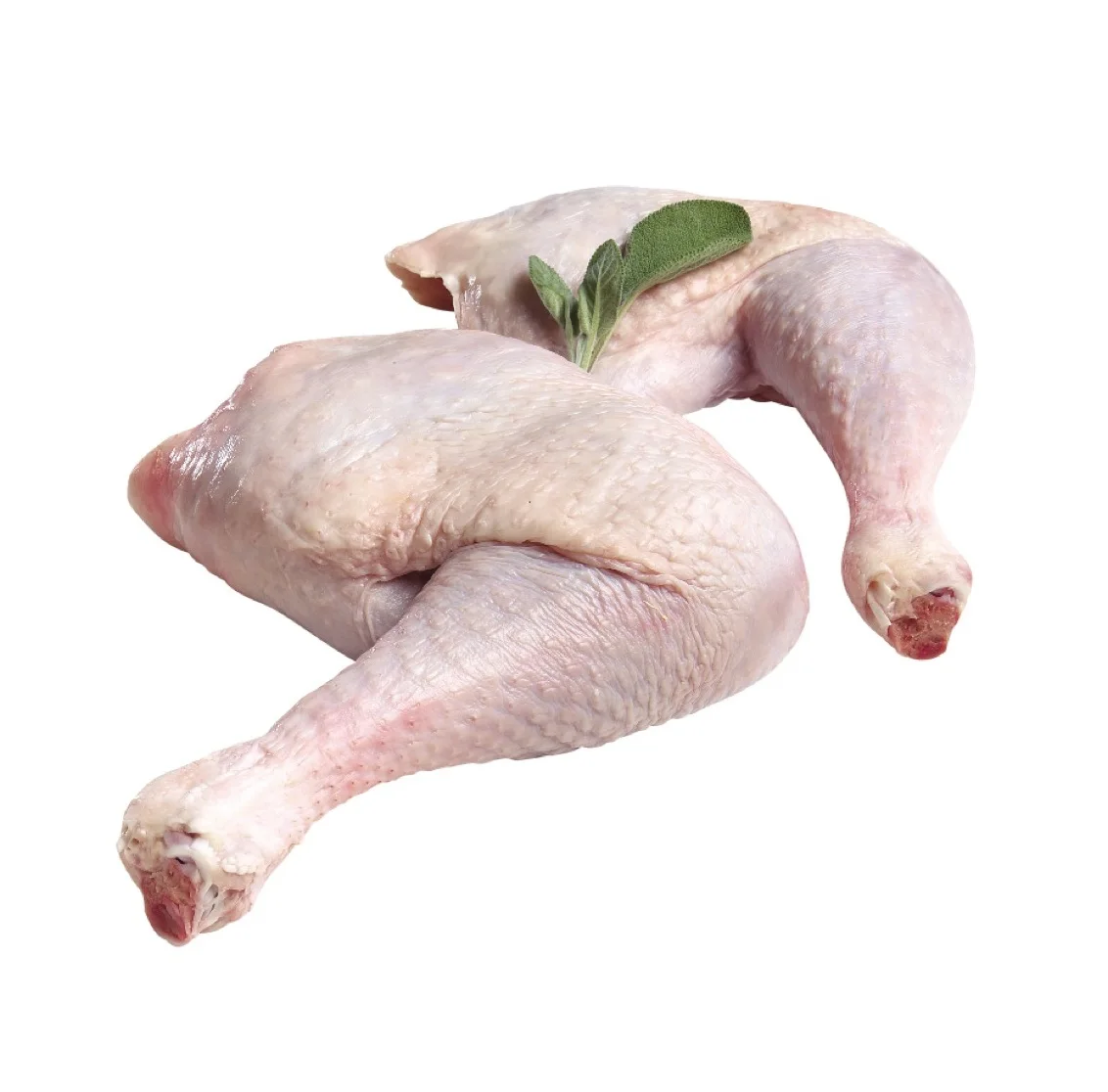 Wholesale Supplier Frozen Turkey Legs For Sale In Cheap Price (11000002064500)
