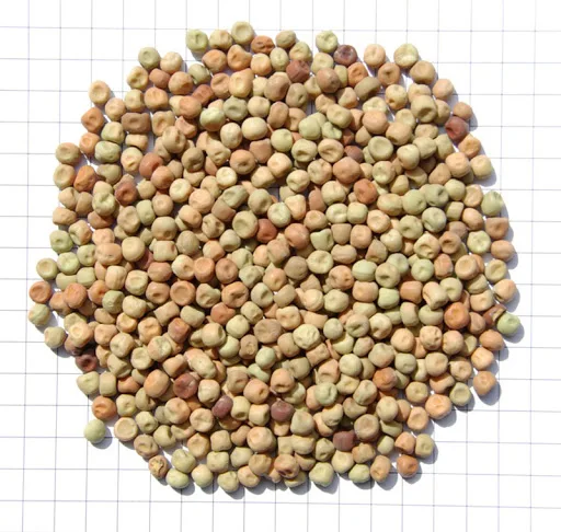 
Australian Dun peas field peas parafield peas 