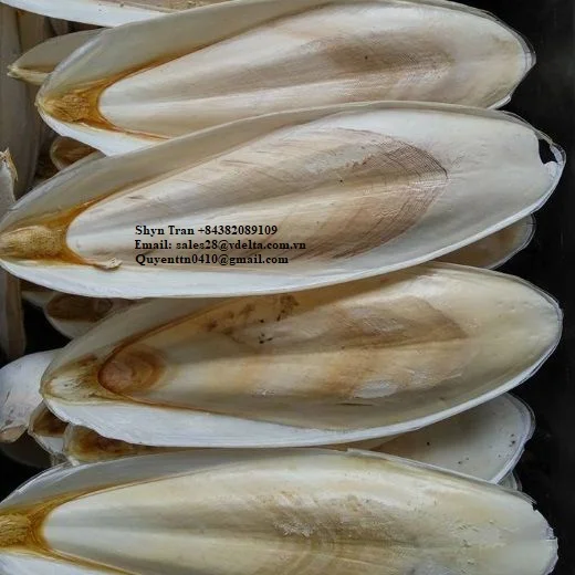  Сушеные кости шлепанцы/низкая цена-хороший выбор из Вьетнама/Shyn Tran + 84382089109