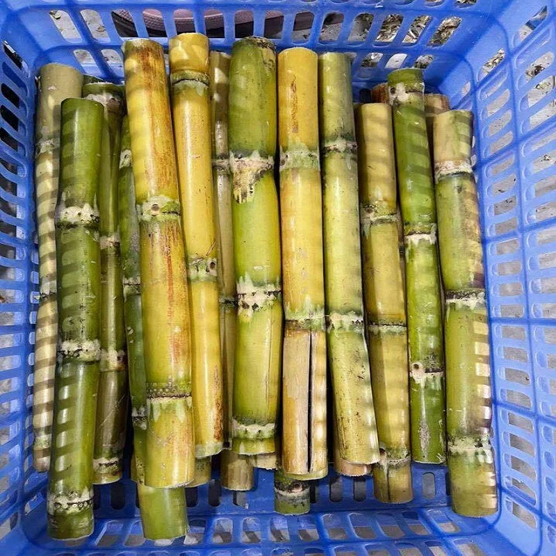 Хит продаж, сельскохозяйственная продукция, оптовая продажа, вес 20 кг, замороженный сахарный тростник натурального цвета из Вьетнама