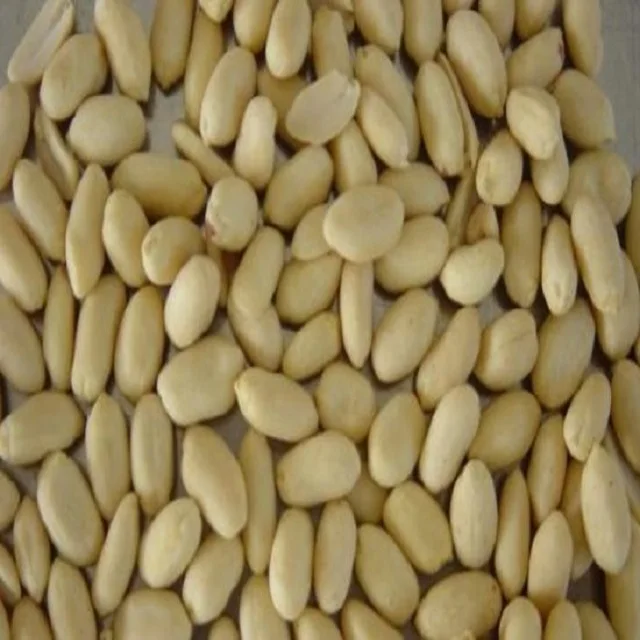 buyers for wholesale jumbo raw bold blanched peanuts kernels