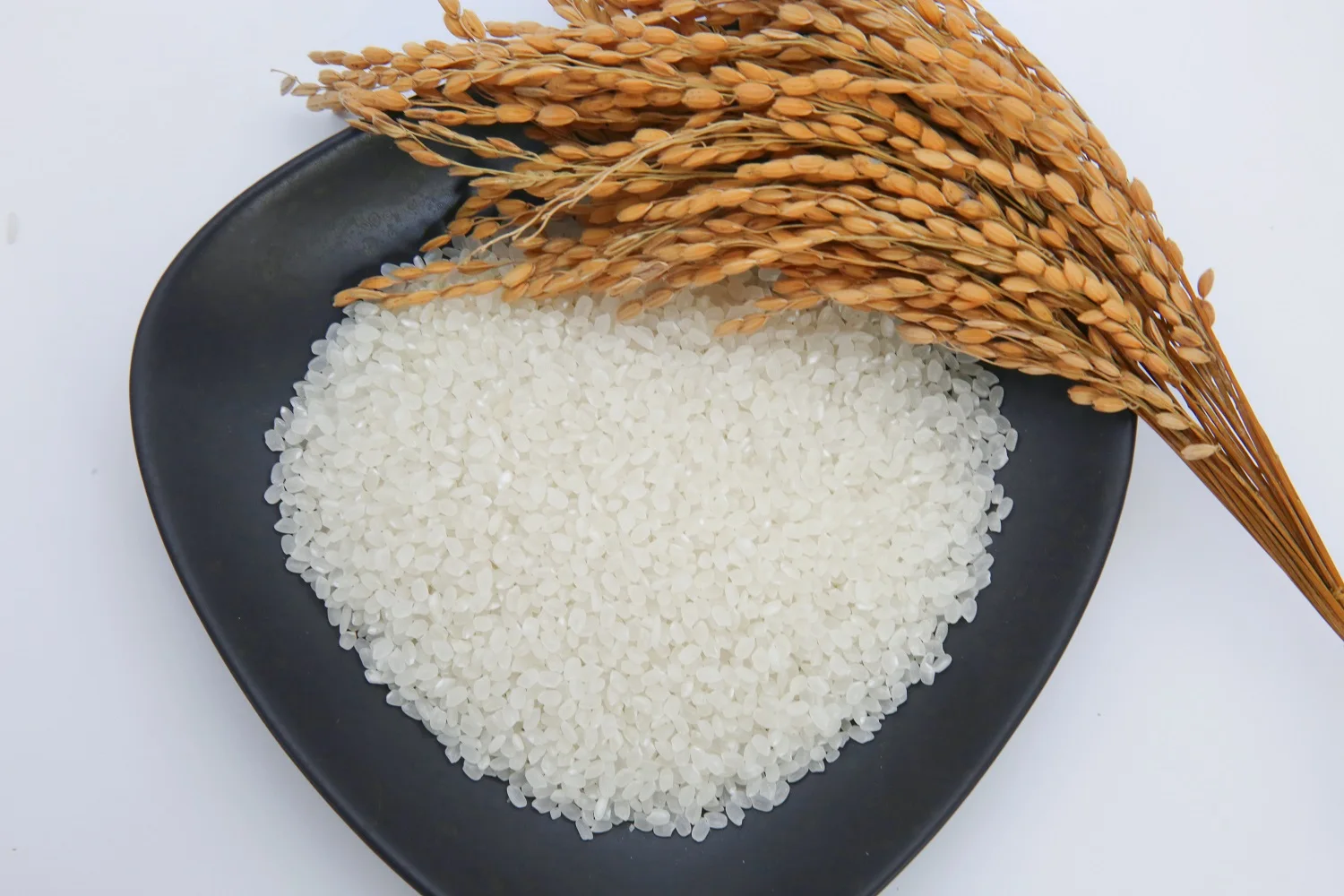 
From Viet Nam High Quality Fresh Aromatic Rice White Rice Organic Japonica Rice 