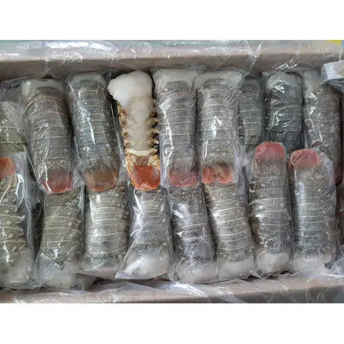 
Frozen Lobster / Frozen Lobster Tails / Fresh Live Lobsters 