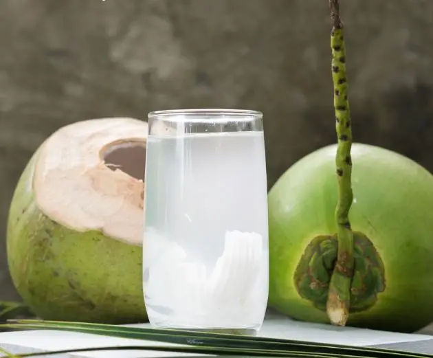 Лучшая цена 100% чистый свежий кокосовый сок с целлюлозной кокосовой водой Органический вкус/Hana
