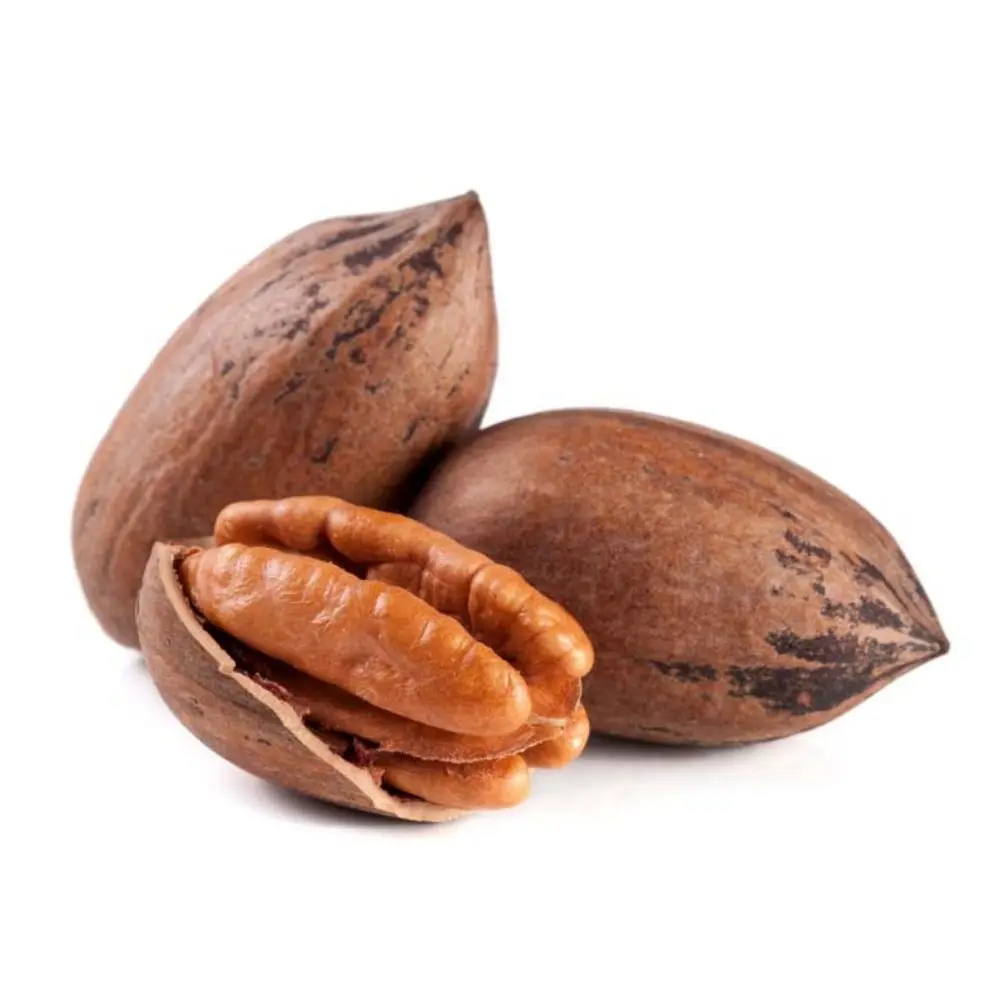 Top Grade Pecan Nuts Wholesale Price Pecan Nuts