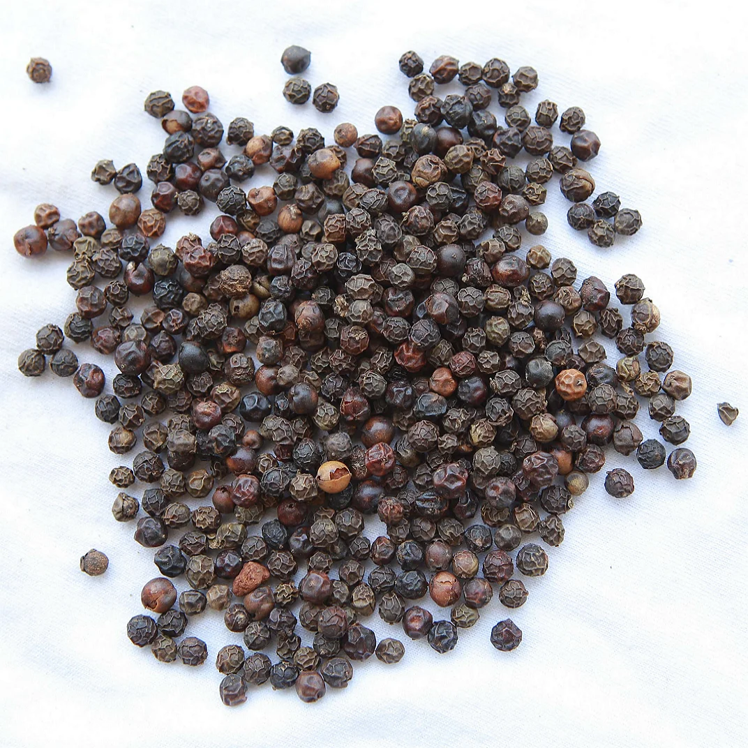 
High Quality Black Pepper Seeds / Black Pepper Powder For Sale 