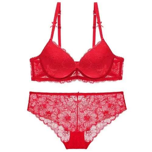 Red Color Hot Selling Women Lace Bra Brief Set Fashion Lace Transparent Push Up Bra Panty Set Women Underwear Set