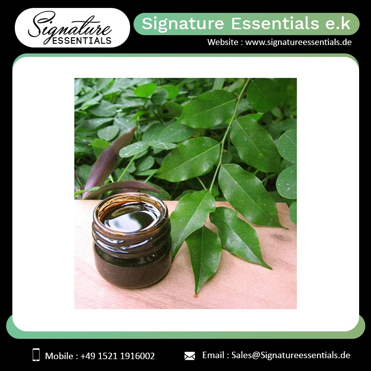 Bulk Selling Pure and Natural Balsam Peru Essential Oil Face Body and Hair Growth Use