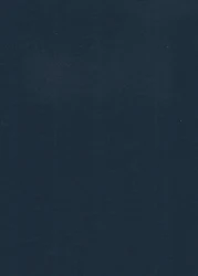 100% nylon taslan fabric waterproof water repellent cottony touch fabric