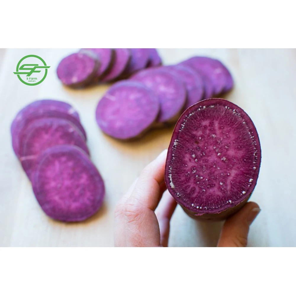 High quality fresh Organic sweet purple potatoes from Vietnam(Whatsapp/zalo/wechat: +84 912 964 858)