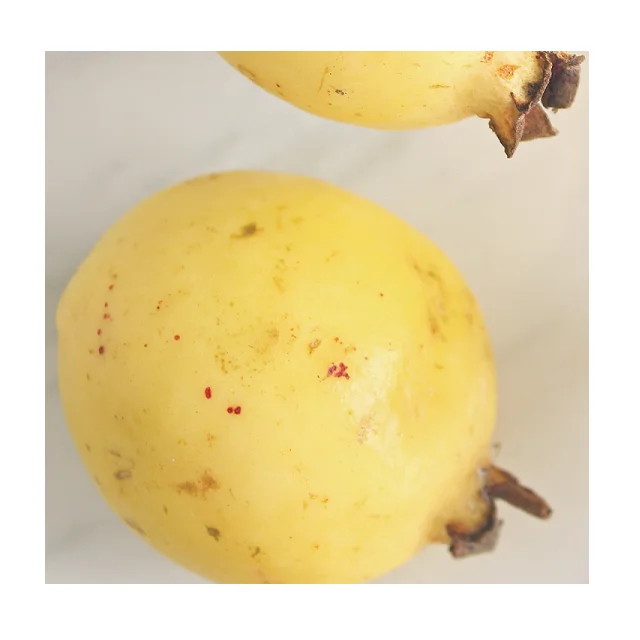 High Quality Organic Guava Fruit In Reasonable Prices